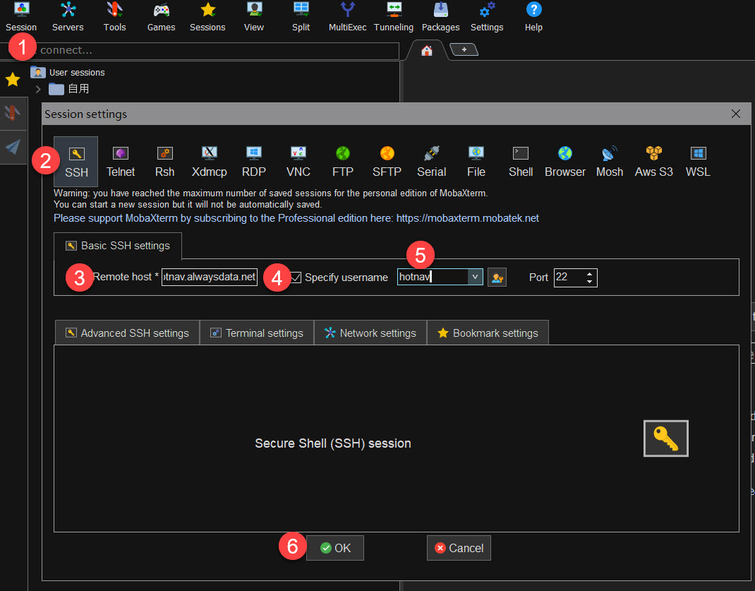 无验证的alwaysdata部署go版的cloudreve云盘程序,直链微软SP、OD