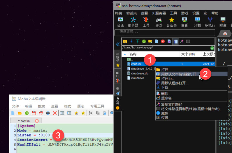 无验证的alwaysdata部署go版的cloudreve云盘程序,直链微软SP、OD