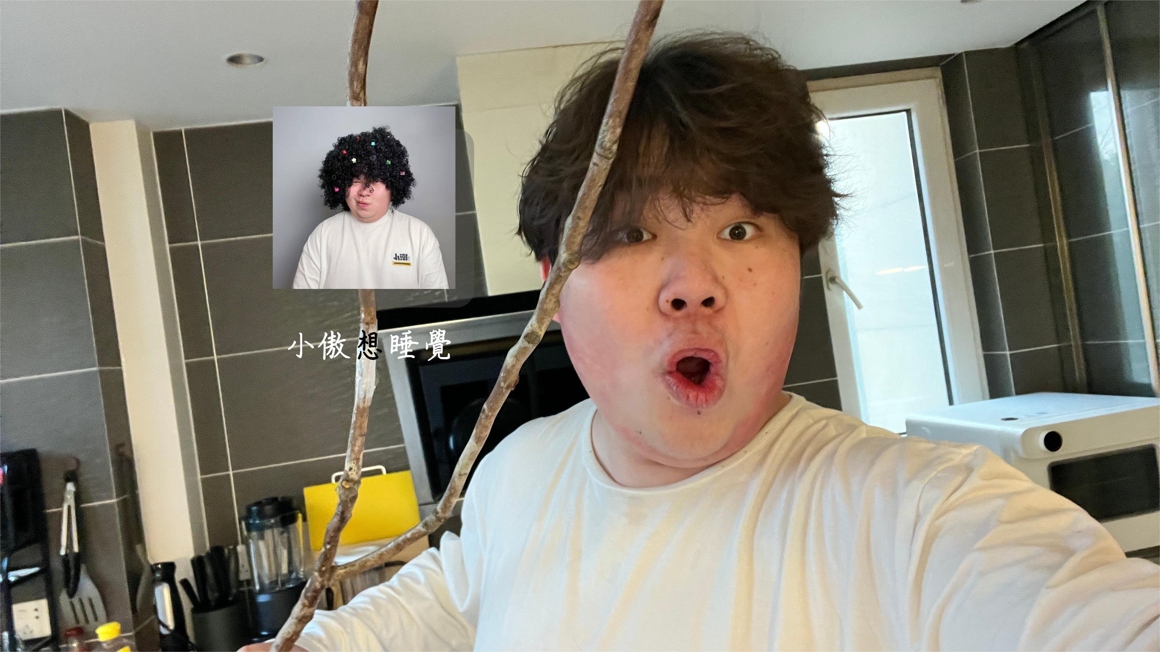 小傲想睡觉
